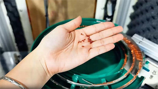 Clasificadora óptica de tornillo de precisión personalizado